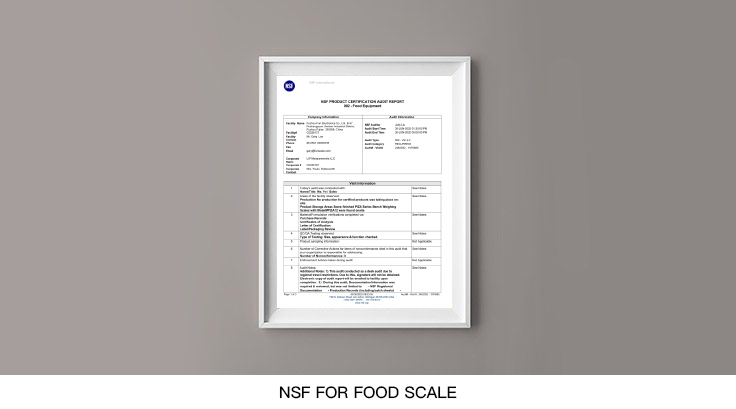 NSF-for-Food-scale